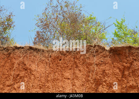 Red indian soil texture layers. Layered cut of soil. Stock Photo