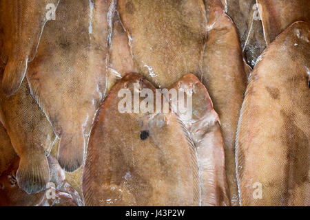 Dover soles for sale as fresh fish at a fishmongers close up Stock Photo