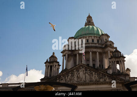 Belfast City Hall, UK. 9th May 2017. Europe and Union flags fly over Belfast City Hall in commemeration of Europe Day Credit: Bonzo/Alamy Live News Stock Photo