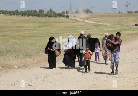 Mosul, Iraq. 9th May, 2017. Local residents flee the western part of Mosul, the second largest city of Iraq, on May 9, 2017. Iraqi forces battling IS militants on Tuesday extended grip into northern Mosul on the sixth day of a new push that initiated a new front in the northwestern edge of IS stronghold in the western side of Mosul, the Iraqi military said. Credit: Cheng Shuaipeng/Xinhua/Alamy Live News Stock Photo