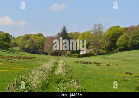 An Idyllic Welsh Landscape In The Spring Stock Photo