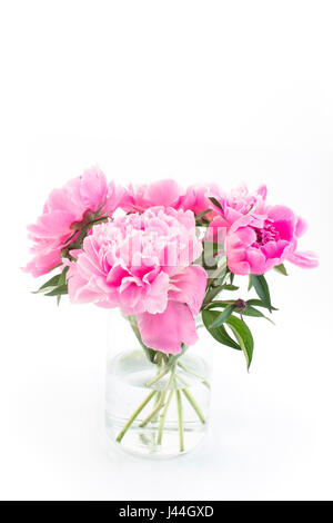 Pink Peonies in a Glass Vase Isolated on White. Stock Photo