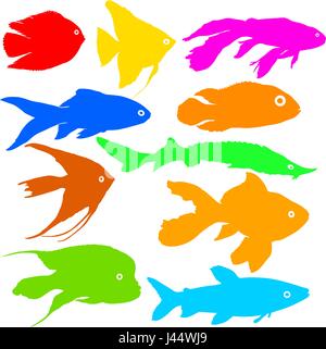 Color silhouette of aquarium fish on white background Stock Vector