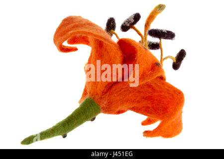 a tiger lily flower image made from wool Stock Photo