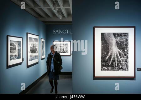 Views of Sebastiao Salgado's 'Genesis' photo exhibition at CO gallery, Berlin. Derek Hudson / Alamy Stock Stock Photo