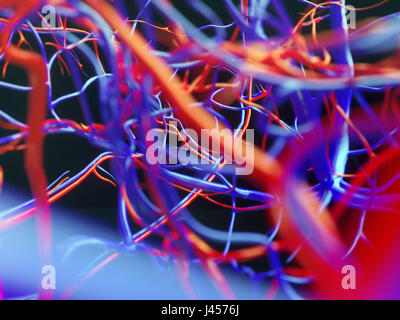 Blood vessels of a human - close-up - 3D Rendering Stock Photo