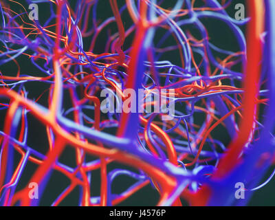 Blood vessels of a human - close-up - 3D Rendering Stock Photo