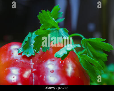 The fresh bulgarian pepper and parsley close up Stock Photo