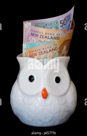 New Zealand dollar notes in an owl jug. Stock Photo