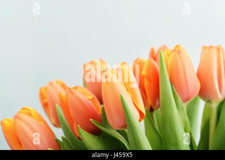 Bouquet of red tulips over blue background, soft focus Stock Photo