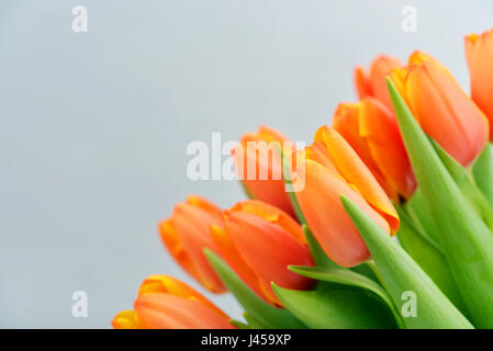 Bouquet of red tulips over blue background, soft focus Stock Photo