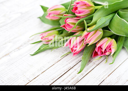 Pink tulips over shabby white wooden background Stock Photo