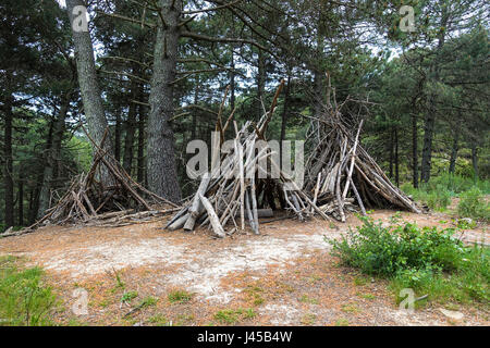 Three shelters made of wood, branches, den, dens, in forest. Spain Stock Photo