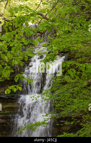 Multistep Waterfall Stock Photo
