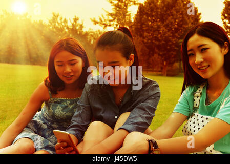 Three young women use cell phones. In the Park in the morning sun Stock Photo