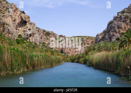 Cretan date palms on both sides Megalou Potomau river in the of Preveli gorge on Crete, Greece Stock Photo