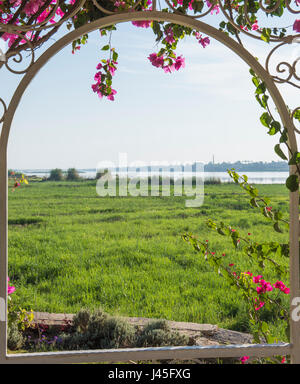 Scenic rural countryside landscape view of a large river in summer across meadow through metal trellis frame with bougainvillea Scenic rural countryside landscape view of a large river in summer across meadow through metal trellis frame with bougainvillea
