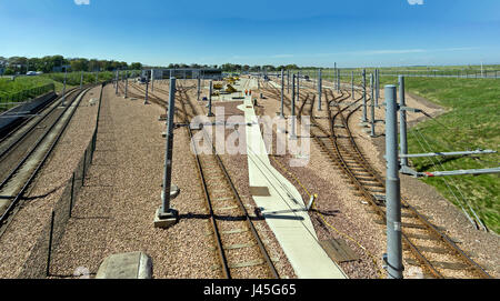 Transport for Edinburgh trams at the tram depot in Gogar in Edinburgh Scotland UK Stock Photo