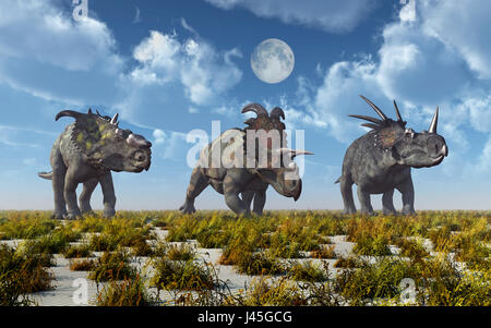 A Pachyrhinosaurus , A Albertaceratops & A Styracosaurus Dinosaurs.