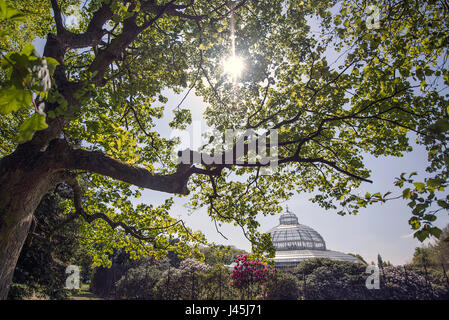 Sefton Park and Victoria House, Liverpool. Sun through the trees. Stock Photo