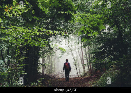 man hiking on misty forest path with green foliage and lush vegetation summer landscape Stock Photo