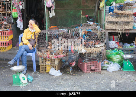 NHA TRANG, VIETNAM - JANUARY 20: Woman is selling chickens at the wet market on January 20, 2016 in Nha Trang, Vietnam. Stock Photo
