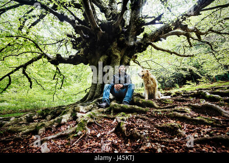 40-45 Years adult man sitting on a root of a beech-tree together with a Golden-Retriever dog in a peaceful landscape. Stock Photo