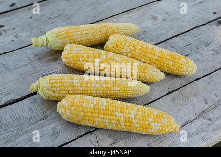 Freshly picked bicolor sweet corn on a wooden background. Stock Photo