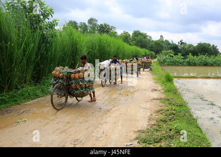 farmers with bicycle sell fruits in Yinchuan Ningxia China August 2007 ...