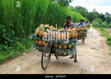 farmers with bicycle sell fruits in Yinchuan Ningxia China August 2007 ...