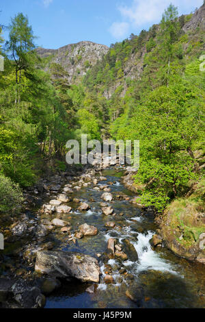 Afon Glaslyn, flowing through the scenic Aberglaslyn Pass (Bwlch Aberglaslyn in Welsh) in North Wales. A scenic steep sided valley / gorge in Snowdoni Stock Photo