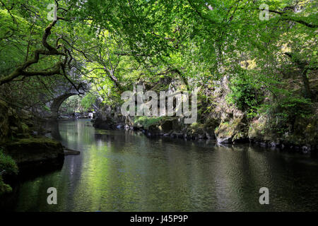 Afon Glaslyn, flowing through the scenic Aberglaslyn Pass (Bwlch Aberglaslyn in Welsh) in North Wales. A scenic steep sided valley / gorge in Snowdoni Stock Photo