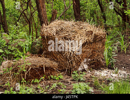 Backyard compost pile covered with hay to speed up the composting process Stock Photo