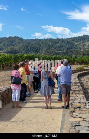 people, tourists, vineyard tour, wine tour, winery tour, Robert Mondavi Winery, Oakville, Napa Valley, Napa County, California Stock Photo