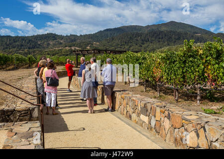 people, tourists, vineyard tour, wine tour, winery tour, Robert Mondavi Winery, Oakville, Napa Valley, Napa County, California Stock Photo