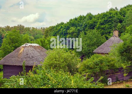 Image thatch Ukrainian hut on the edge of the forest Stock Photo