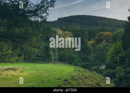 A view of the hill at tollymore forest park, taken from a grassy medow surrounded by various trees. Located in newcastle, county down, northern island Stock Photo