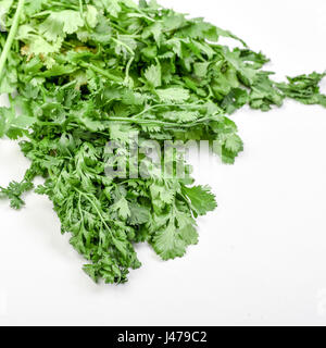 Fresh and organic Coriander (Coriandrum sativum) on white background Stock Photo