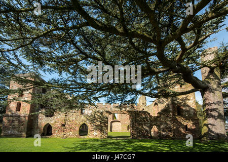 Acton Burnell Castle is a 13th-century fortified manor house, located near the village of Acton Burnell, Shropshire, England Stock Photo