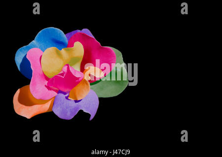 Multicolored rose on black background with copy space Stock Photo