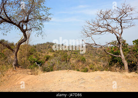 sandy and arid mountain landscape in morni hills nature reserve near chandigarh in punjab with acacia forest under a blue cloudy sky in springtime Stock Photo