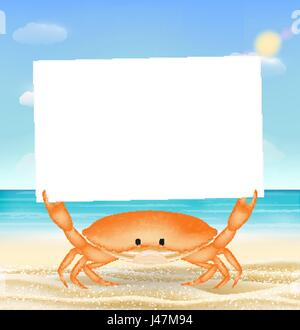 sea crab with white paper on a sea sand beach Stock Vector