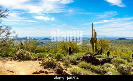 View of the Valley of the Sun with the city of Phoenix in the distant seen from the semi desert landscape of Usery Mountain in Arizona, USA Stock Photo