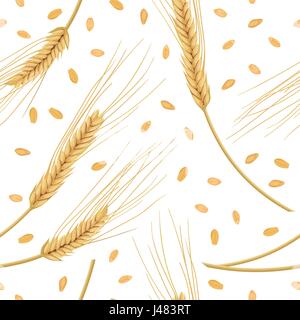 Wheat ears isolated on white background. seamless pattern vector. Golden spike and grains Stock Vector