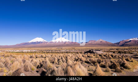 High Andean tundra landscape in the mountains of the Andes. The weather Andean Highlands Puna grassland ecoregion, of the montane grasslands and shrub Stock Photo