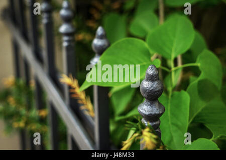 Fine Art Photography: Macro photo of a beautiful wrought iron gate with leaf in Germany Stock Photo
