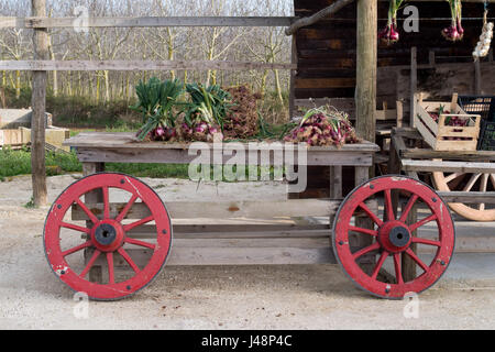 Road side stall selling Tropea red onions direct from the grower in Calabria region, Italy Stock Photo