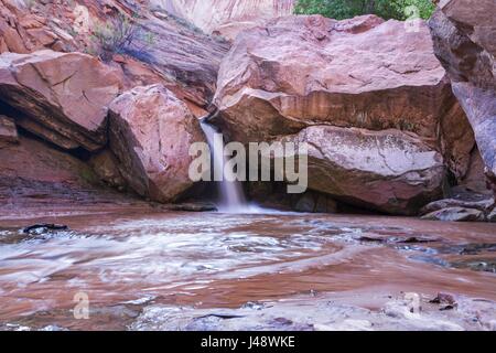 Coyote Natural Bridge on Great Canyon Hiking Trail in Coyote Gulch, Escalante Staircase National Monument, Utah, United States Stock Photo