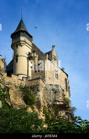 Swallows flying around spooky medieval Chateau de Montfort castle, built upon the cliffs along Dordogne river in Vitrac, Perigord province in France. Stock Photo