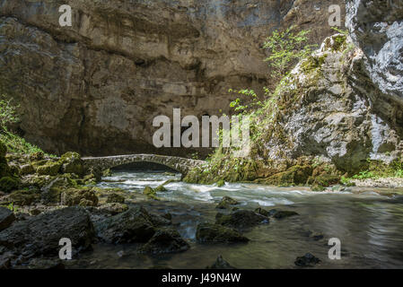 Scenic underground river Rak in Unesco protected national park Rakov Skocjan in Slovenia Stock Photo